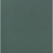 Напольная плитка Casalgrande Padana Unicolore Technic Levigato Verde 8